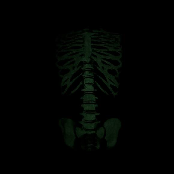 00s Halloween Ribcage Skeleton Bone  T-Shirt Glow in the Dark Unisex Medium - Picture 3 of 9